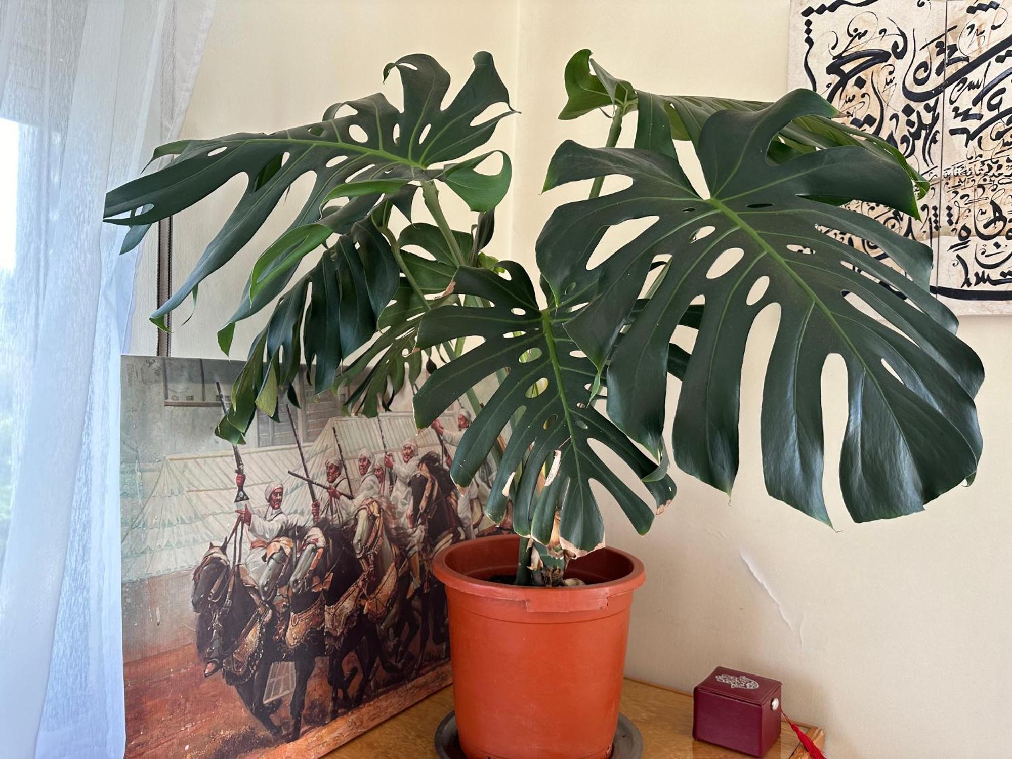 Appartement Dar Meftah Tanger Extérieur photo